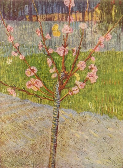 Boulevard de Clichy by Vincent van Gogh